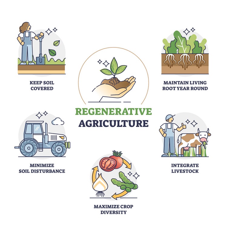 regenerative agriculture