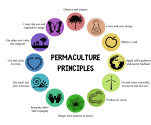 Permaculture-Principles-with-text-1000×833-1-768×640