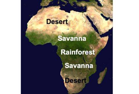 africa_geography