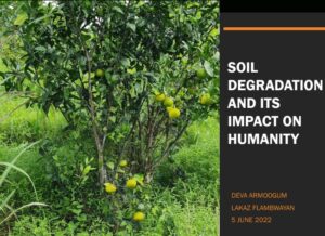 Soil-degradation1