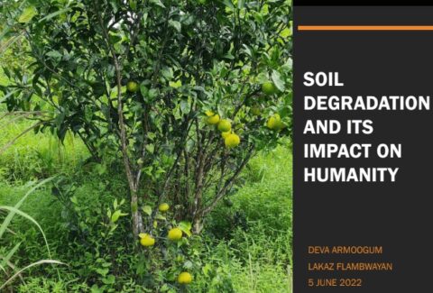 Soil-degradation1