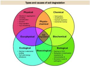 Types and causes of soil degradation